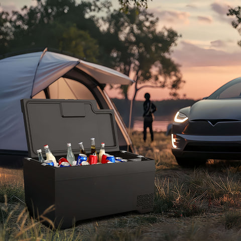 The Tesla Fridge - 40L Refrigerator for Model X